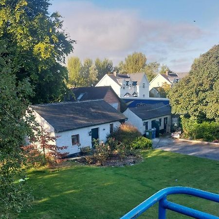 Cosy 2 Bed Cottage Next To Fota Wildlife Park 코크 외부 사진