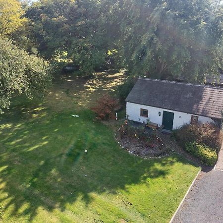 Cosy 2 Bed Cottage Next To Fota Wildlife Park 코크 외부 사진